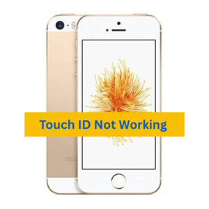 Apple iPhone SE - Phony Phone