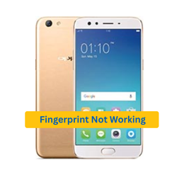Oppo F3 Plus Phony Phone